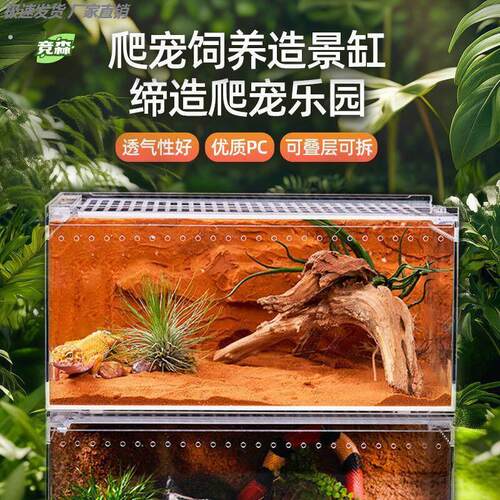 爬宠亚克力饲养盒爬虫宠物守宫箱蜗牛蜥蜴角蛙蛇蜘蛛生态螳螂缸