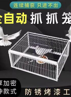 捉神器鸽子笼只进不出自动收活络门款室外加厚加密撞门天落笼