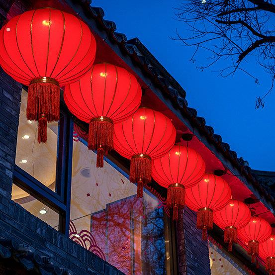 新年大红灯笼广告灯笼春节大门口灯笼户外植绒灯笼元旦红灯笼