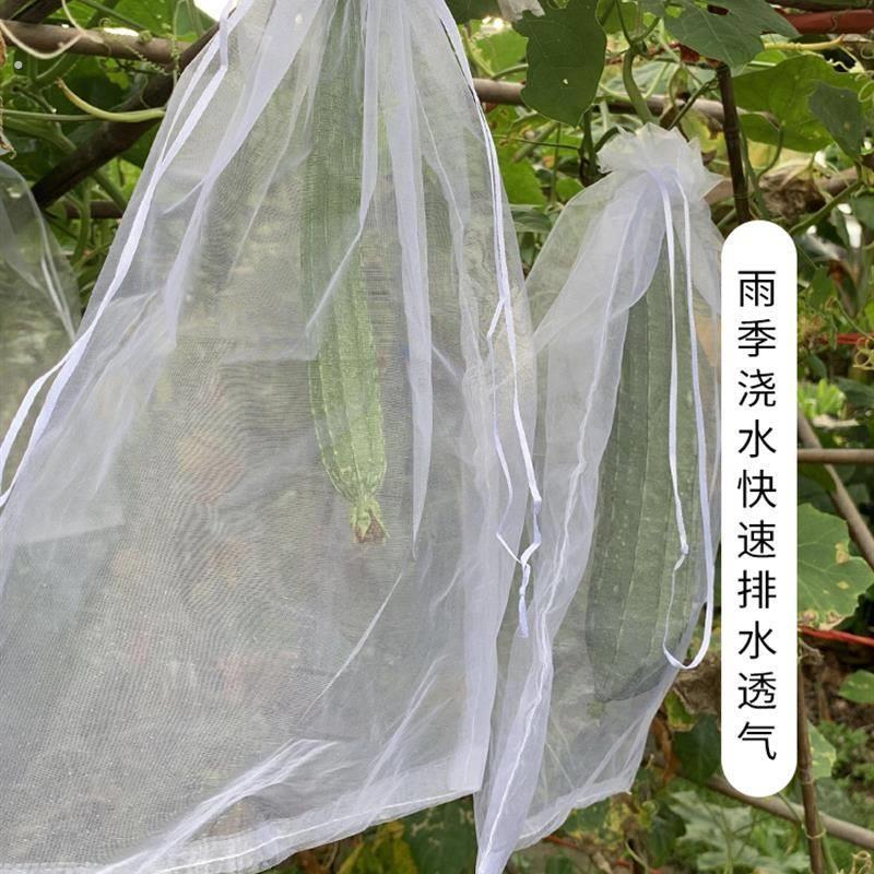 青瓜袋加密纱网袋黄瓜防虫套袋苦瓜丝瓜黄瓜果防鸟器罩透气束口袋