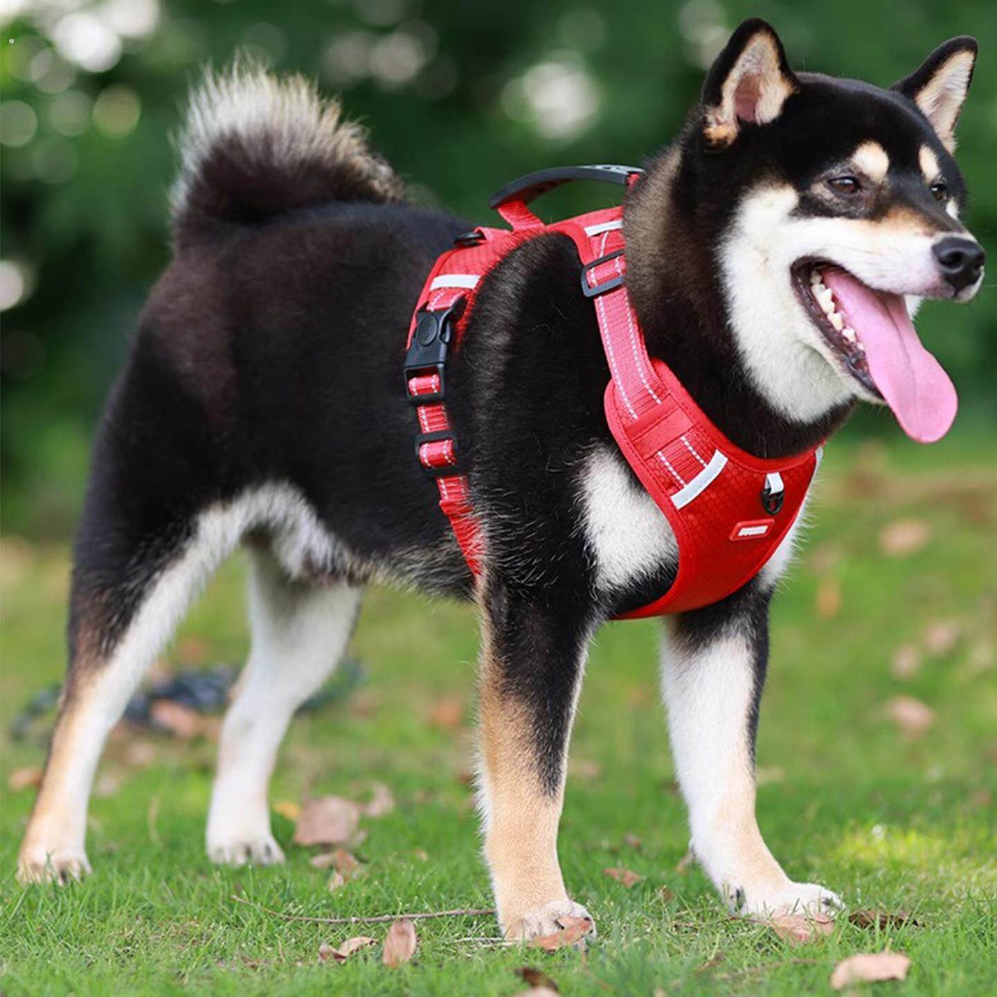 德国狗狗牵引绳宠物胸抱婴袋柴犬柯基中大型犬背心式狗绳防挣脱胸
