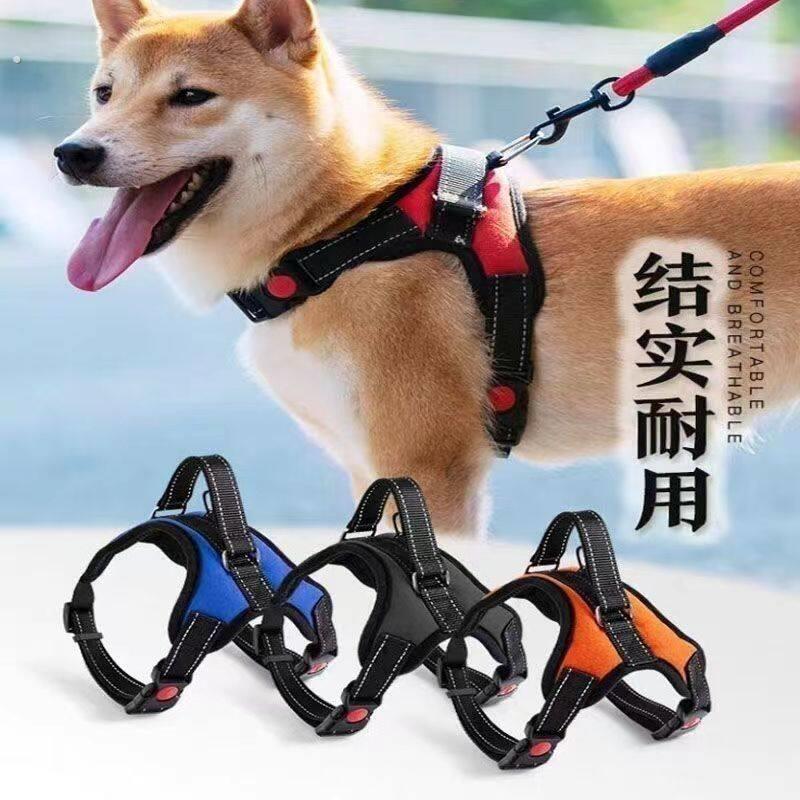 狗牵引绳狗狗外出牵引绳狗链子小中大型犬萨摩耶遛狗绳