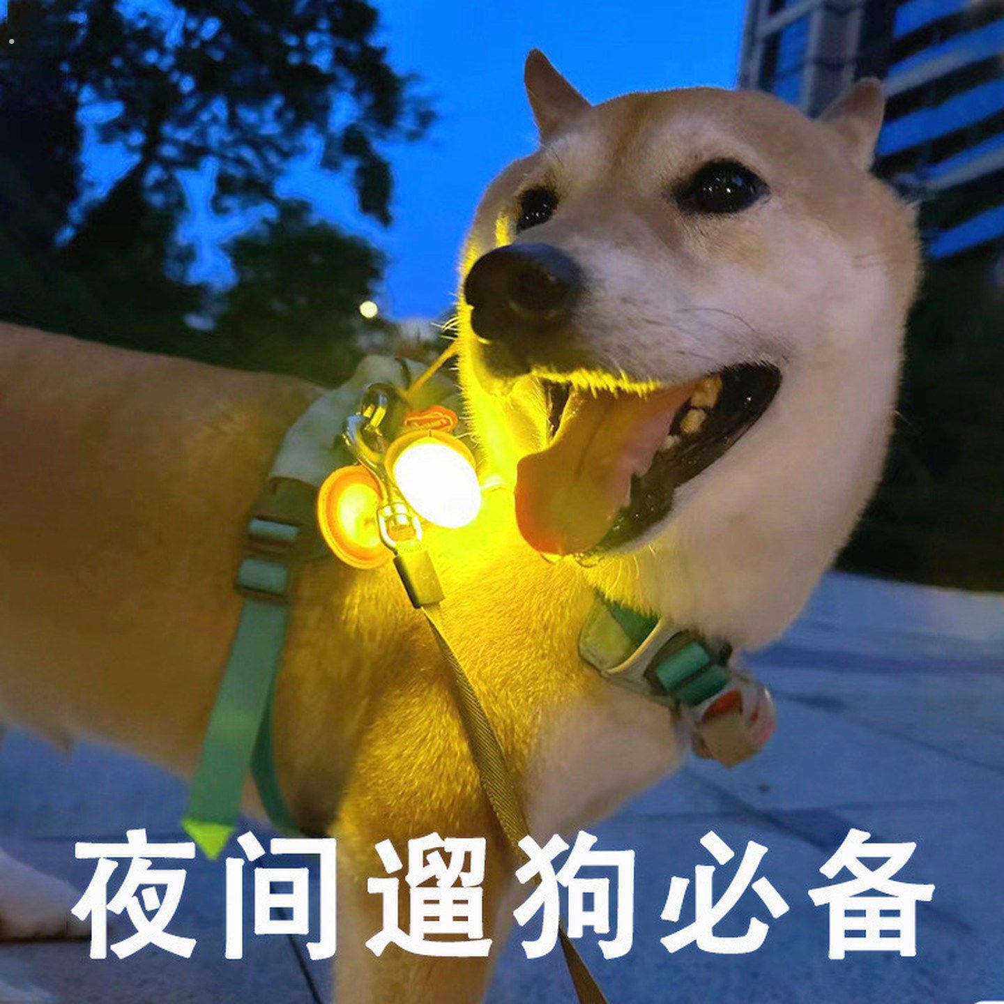 发光项圈夜晚遛狗夜灯狗狗夜间防走失灯宠物大中小型犬发光吊坠