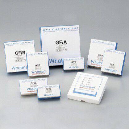 沃特曼玻璃纤维滤纸Φ21