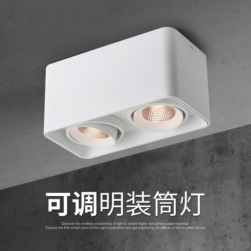 无主灯照明明装射灯可调角度斗胆灯双头led玄关过道筒灯吸顶射灯