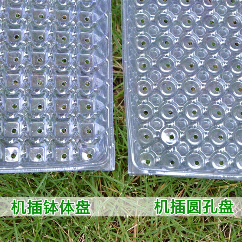 塑料水稻育秧盘9寸机插平盘塔式手抛稻苗秧盘谷物育苗盆透明434孔