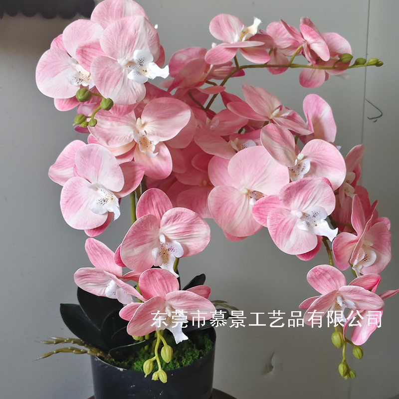 仿真花蝴蝶兰客厅摆设花花束高级感轻奢餐桌花网红爆款花束装饰花