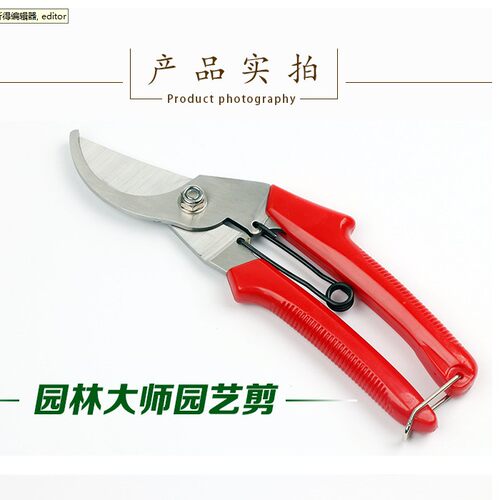 园艺修枝剪园林剪不锈钢修枝剪刀园艺盆景花枝剪粗枝大口径果枝剪