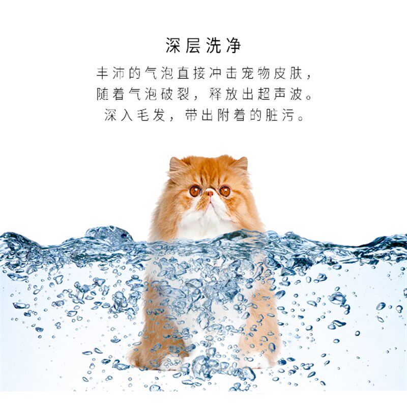 百集水疗SPA机宠物猫狗洗澡机按摩消毒杀菌臭氧气泡美容护理