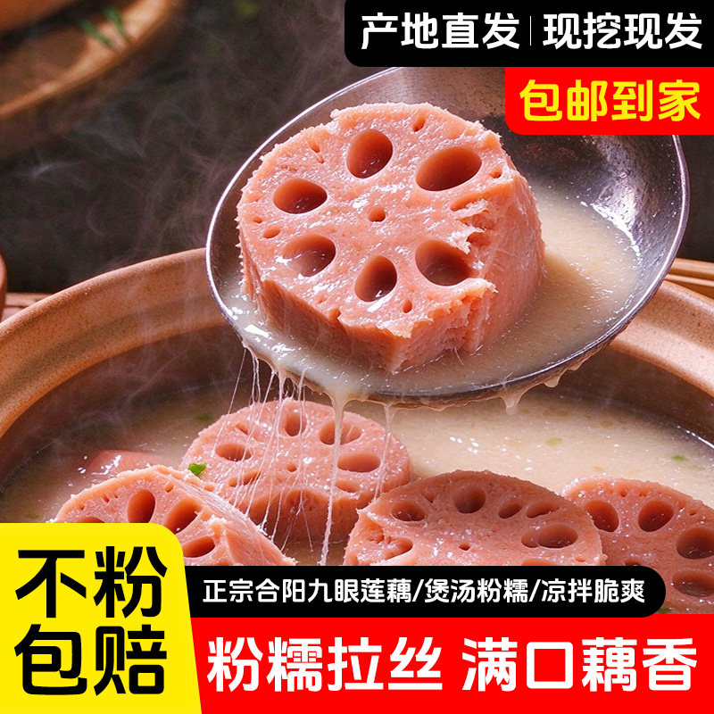 正宗黄河滩新鲜莲藕清炒凉拌煲汤时令农家蔬菜现挖粉藕不粉包退