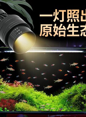鱼缸射灯南美缸射灯观赏灯小鱼缸专用变焦led灯防水照鱼灯水草灯