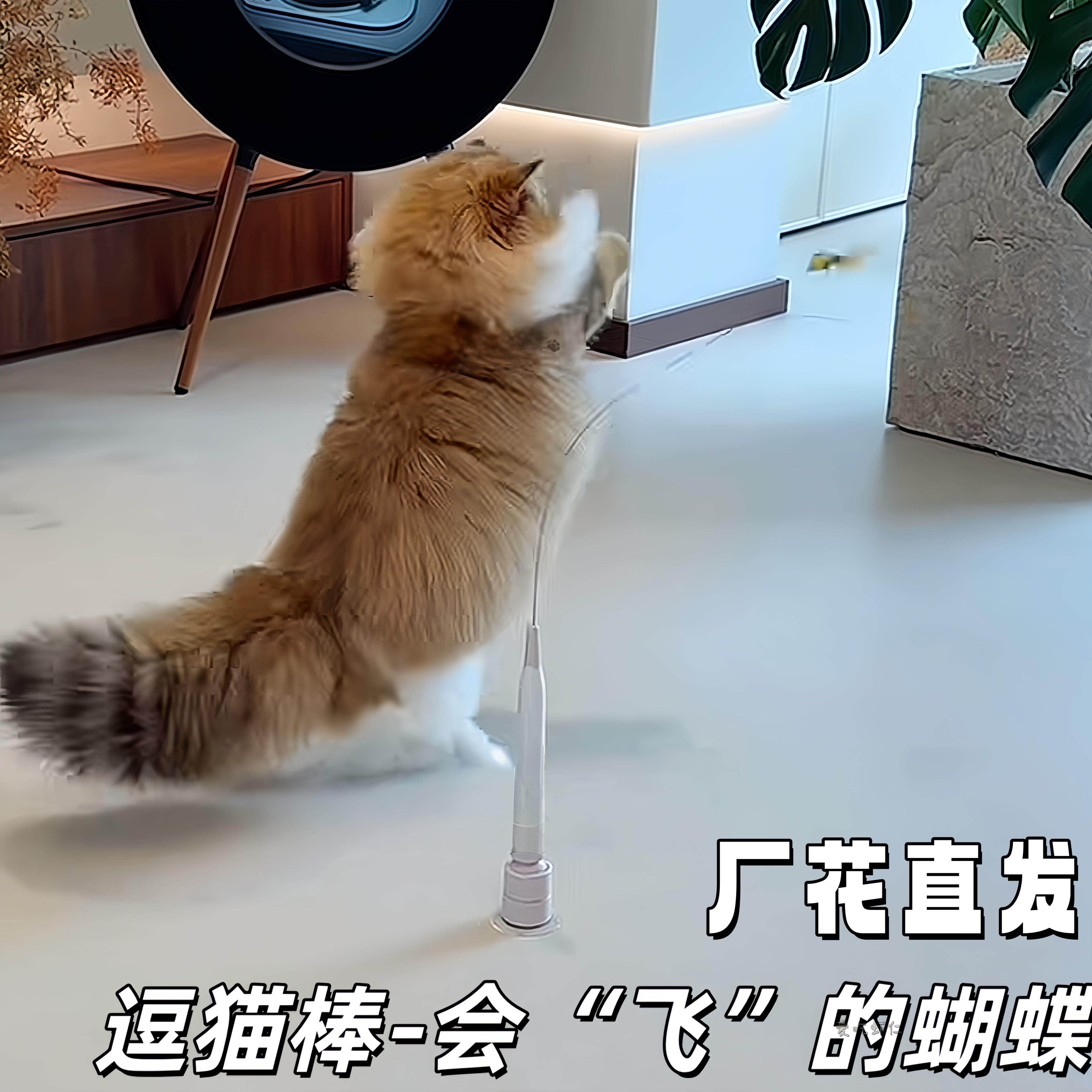 会飞的蝴蝶逗猫棒自动吸盘逗猫器自嗨解闷消耗体力逗猫杆互动游戏