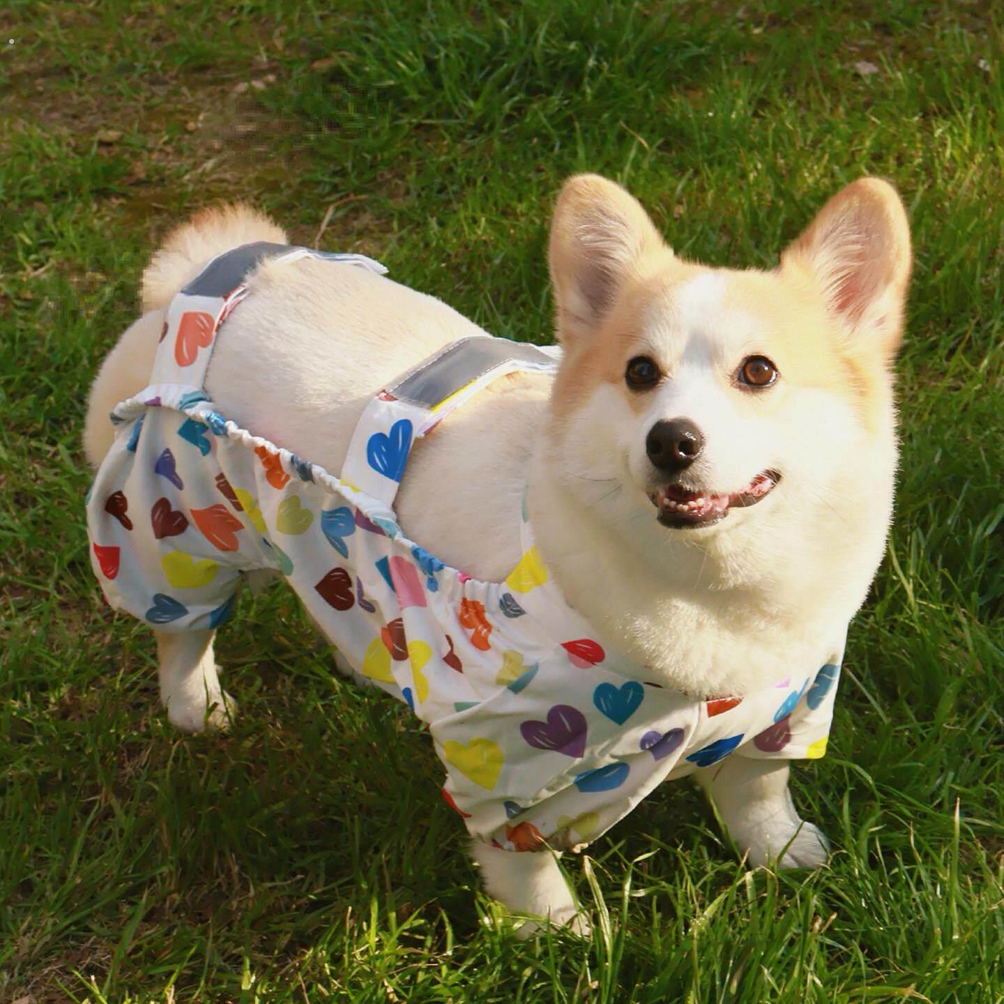 狗狗衣服外出防尘裤宠物雨衣柯基柴犬防脏腿套四脚衣遛弯防水肚兜