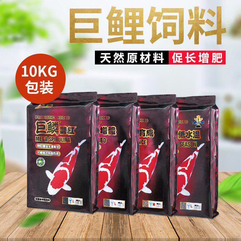包邮神阳巨鳞赛级锦鲤饲料10公斤 育成/增体/艳红/低水温上浮