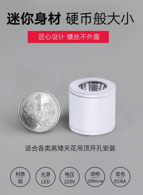 黑色明装迷你小射灯LED外装3W5W微型超小cob吸顶满天星空顶免开孔