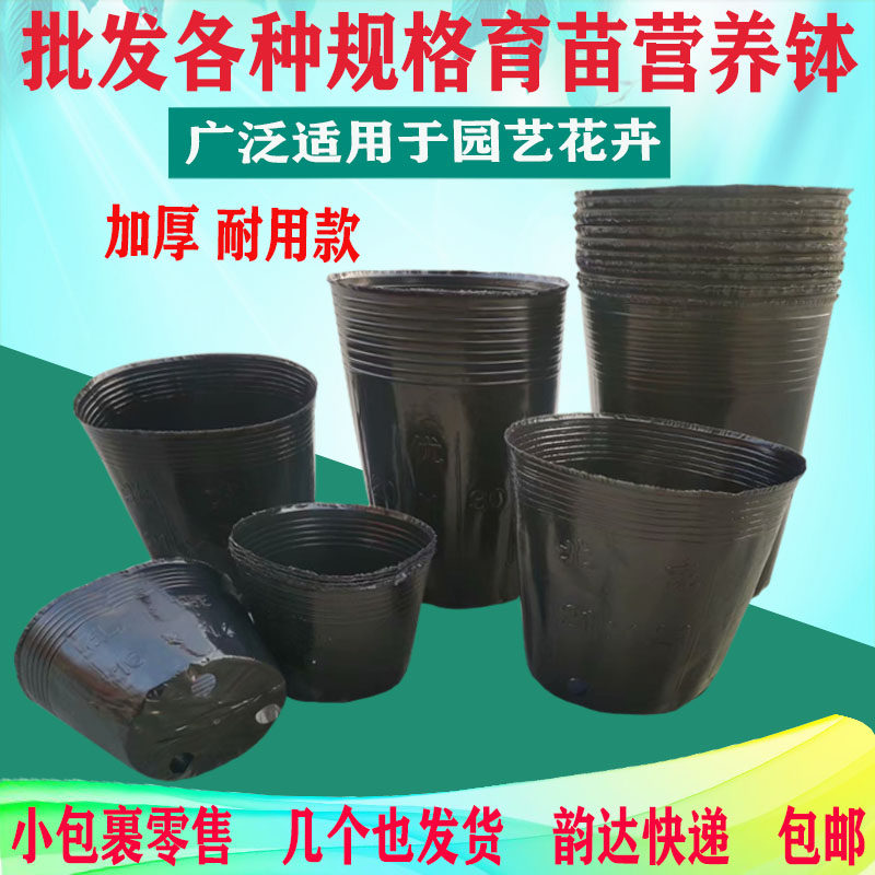 加厚营养钵育苗钵育苗杯育秧盆花盆营养杯大号黑色塑料一次性装土
