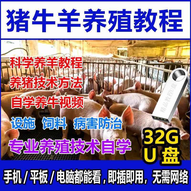 养猪养牛技术教学U盘家畜饲料高产养殖养羊防病经验视频教程优盘