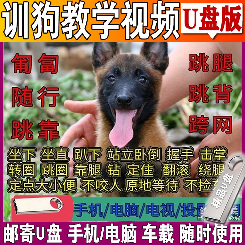 训狗课程U盘训练幼犬马犬德牧边刻录盘个性化服务