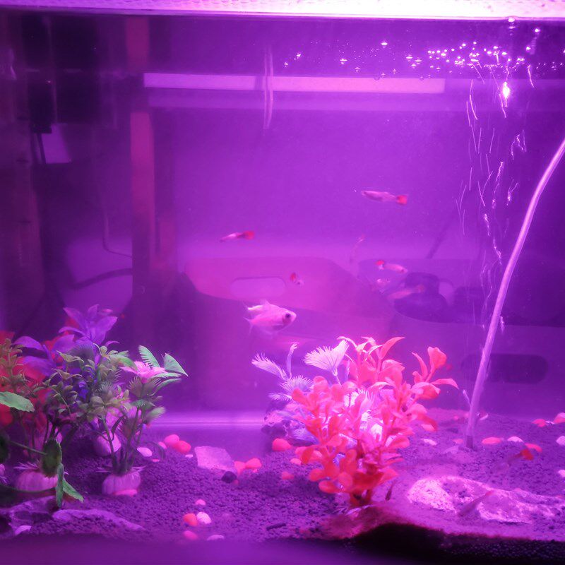 led软管彩色全光谱射灯 南美鱼缸造景调光灯七彩变色氛围灯插电