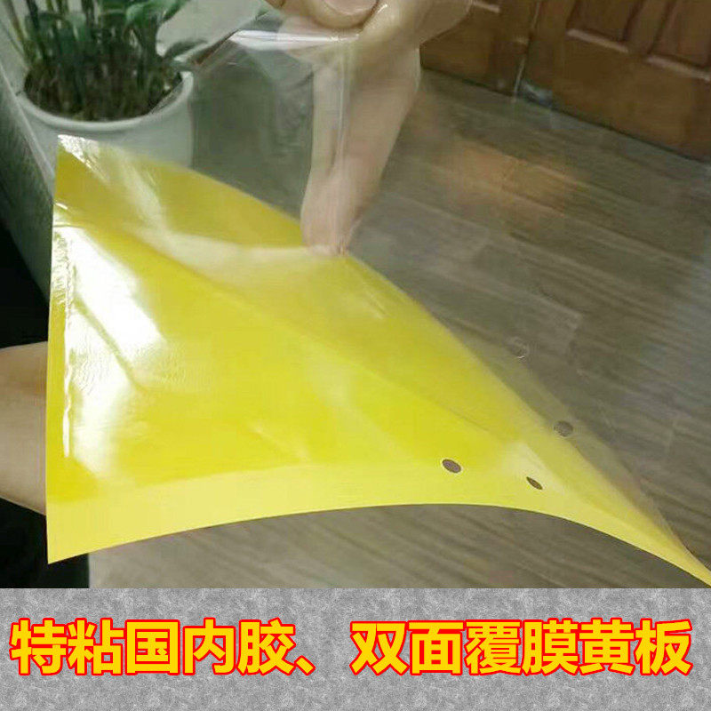 粘虫板诱虫板双面黄板蓝板覆纸膜黏虫板茶园大棚果蔬特效杀虫包邮