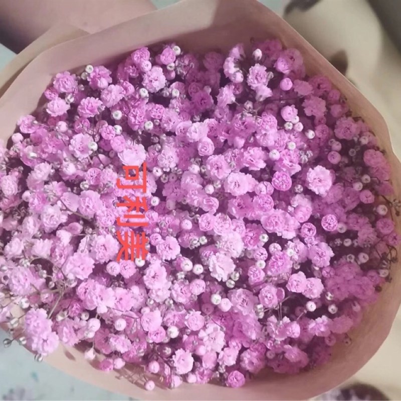 鲜花染色剂玫瑰喷色吸色漆吸染喷雾彩喷颜色颜料直专用染料花花艺