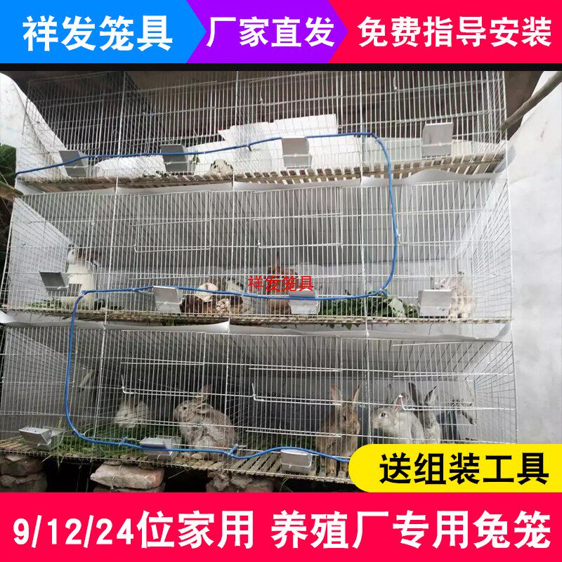 兔笼子家用新型式自动清粪养殖专用子母兔子笼子超大号繁殖兔笼