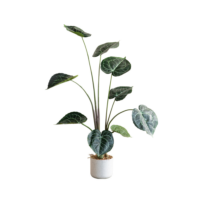 北欧仿真绿植假植物盆栽水晶花烛室内客厅落地装饰盆景玄关摆件