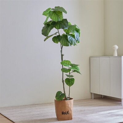 高端轻奢仿真绿植心叶榕室内家居客厅落地摆件装饰品高级感假植物