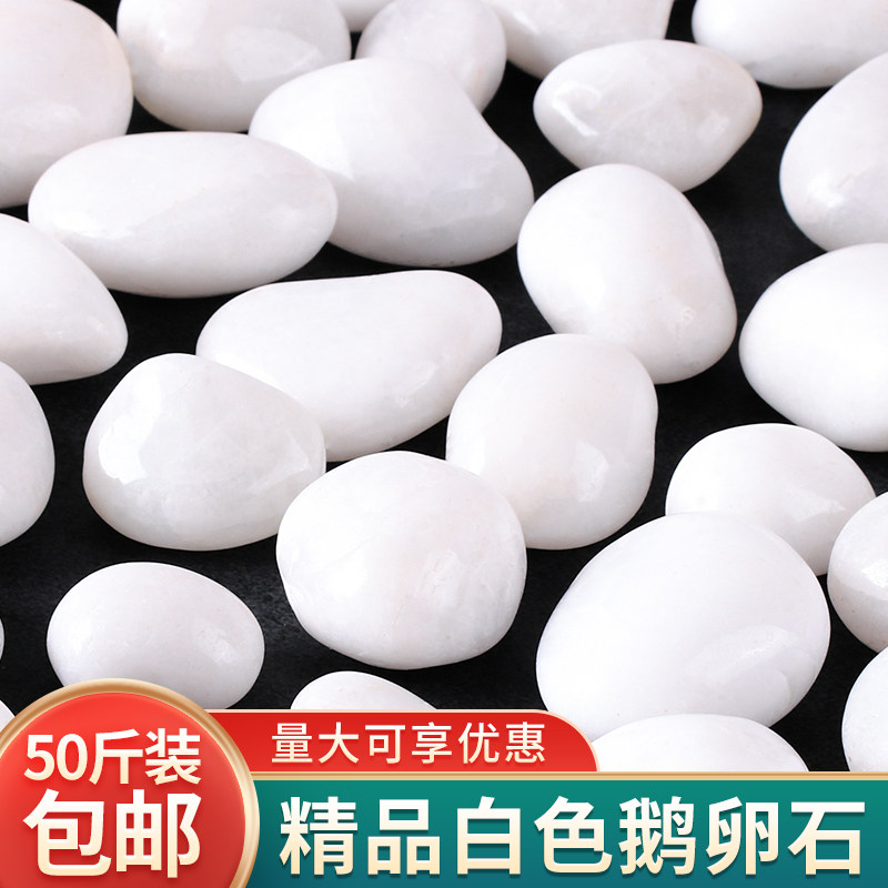 白色鹅卵石雨花石原石天然庭院铺地石头造景白石子鱼缸装饰