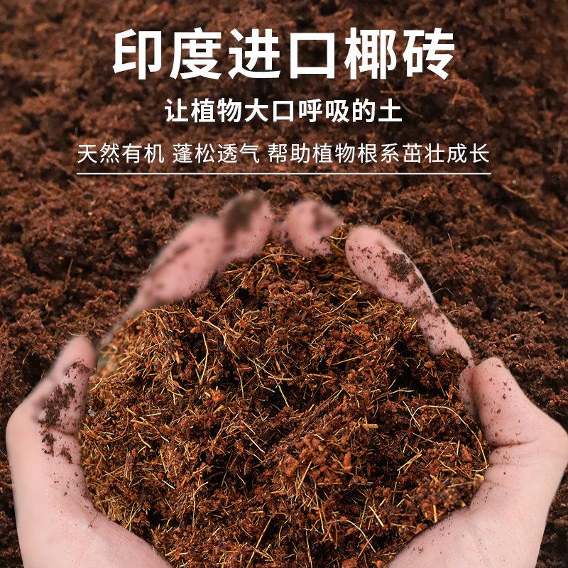椰砖营养土养花种菜通用型椰糠植物花土脱盐杀菌保肥多肉种植土