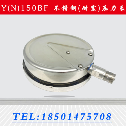 不锈钢压力表 Y150BF YN150不锈钢耐震压力表 高温 耐腐蚀 氨用