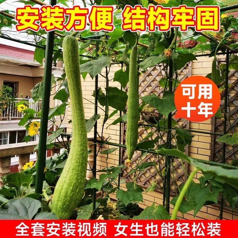 爬藤架葡萄黄瓜豆角架种菜花支架庭院园艺花卉植物支撑杆西红柿架