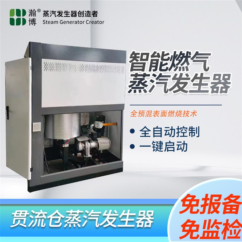 智能程控贯流式燃气蒸汽发生器超低氮免报检稳定出气蒸汽锅炉