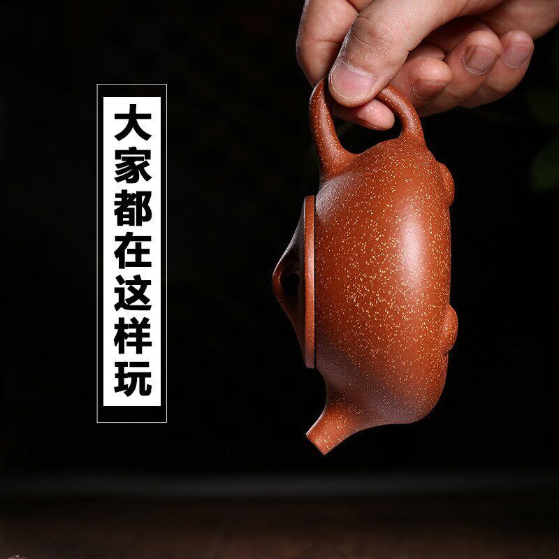 宜兴原矿龙血砂紫砂壶西施壶石瓢名家纯全手工泡茶壶功夫茶具套装