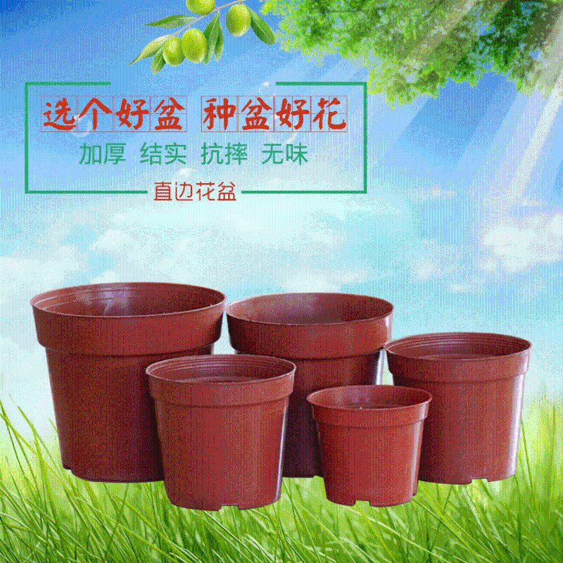 塑料花盆直边网底园艺花盆硬质塑料苗圃育苗盆圆形多肉绿植小圆盆