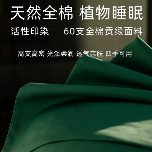 ALEX荞麦枕头单人学生儿童枕头纯荞麦皮全荞麦壳枕芯护颈椎枕家用