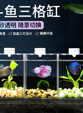 亚克力鱼缸长方形盖板隔离板小型生态斗鱼双格缸专用超透迷你带灯