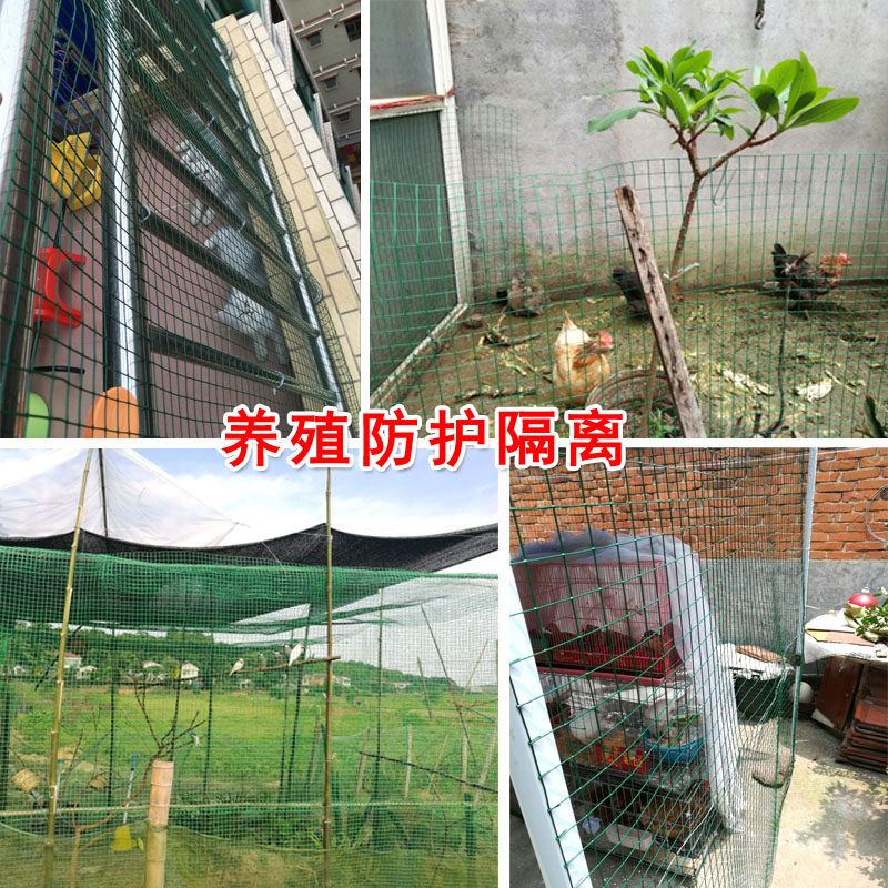 硬塑小孔养殖铁丝网围栏网养鸡围网防护网格拦鸡网养鸽子拦网铁网