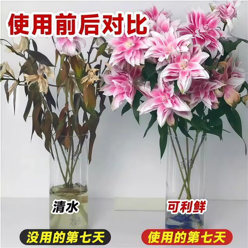 鲜花新款保鲜剂hvb鲜切花水培植物养花营养液加强型延长花期时长