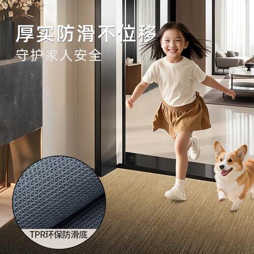 门垫轻奢脚垫入户门地垫新款地毯进门脚踩垫家用免打理可裁剪垫子