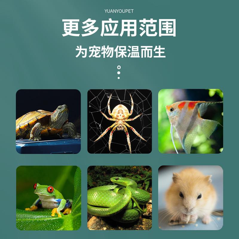 鱼缸加热垫斗鱼小型控温恒温加温垫观赏鱼爬宠专用低水位缸外加热