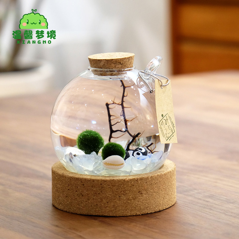 marimo水晶球装包邮幸福海藻球 苔藓创意盆栽微景观生态瓶diy礼物