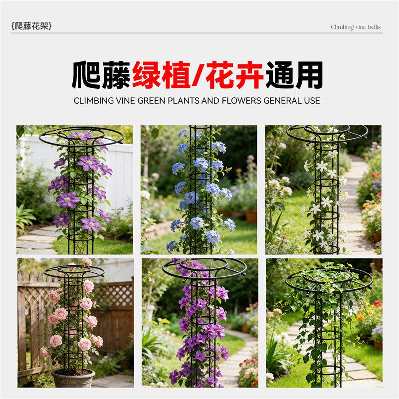 月季爬藤架伞形花架园艺支柱阳台庭院户外蔷薇攀爬架植物支撑架杆
