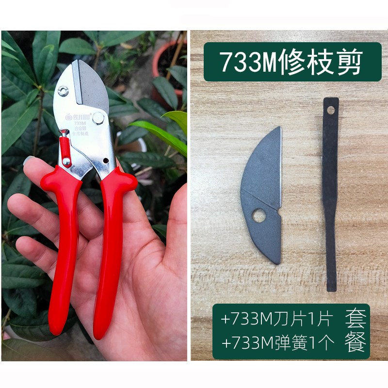 粗枝剪果树剪花枝剪葡萄剪刀修枝剪园林家用树枝剪园艺工具