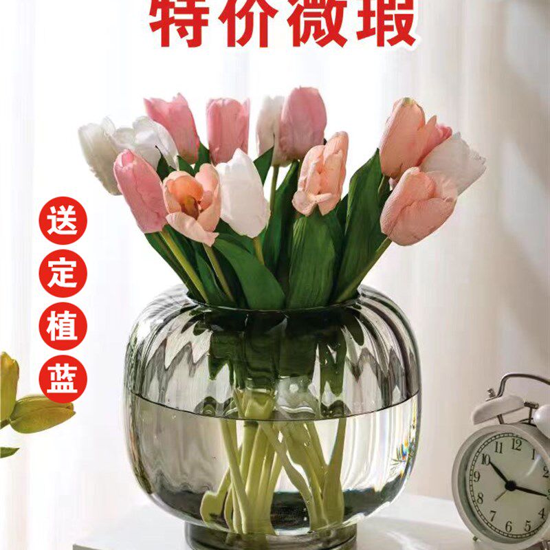 水培器皿创意玻璃花盆水养植物白掌红掌绿萝大号花瓶烟灰插花摆件