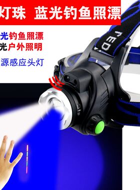 钓鱼夜钓蓝光照漂强光头灯白光照明双光源家用灯T6灯珠感应可充电
