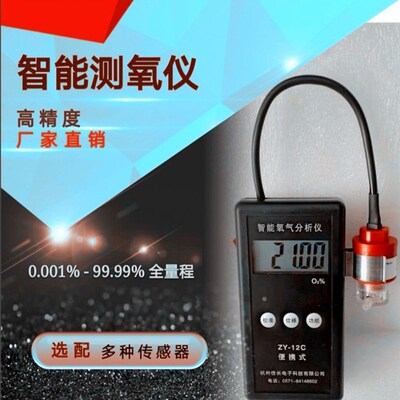 智能便携式测氧仪ZY12C高精度氧气分析全量程手持报警氧气检测仪