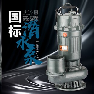 上海污水泵潜水泵人民 抽粪泥浆无堵塞排污泵380v大流量高杨程4寸