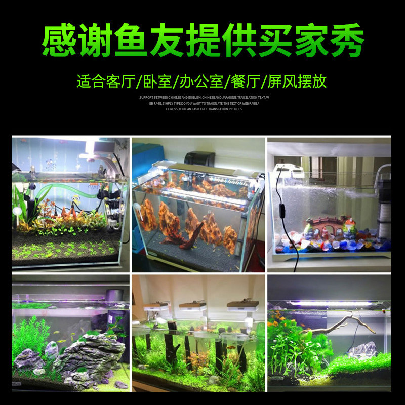 超白鱼缸造景水族箱客厅金鱼缸小型生态水草造景套餐桌面玻璃家用