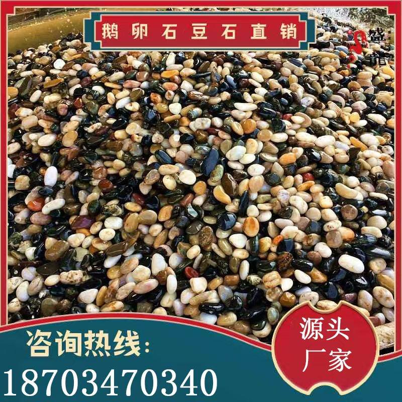 天然鹅卵石豆石地暖回填施工水洗过滤小石子家装地暖专用